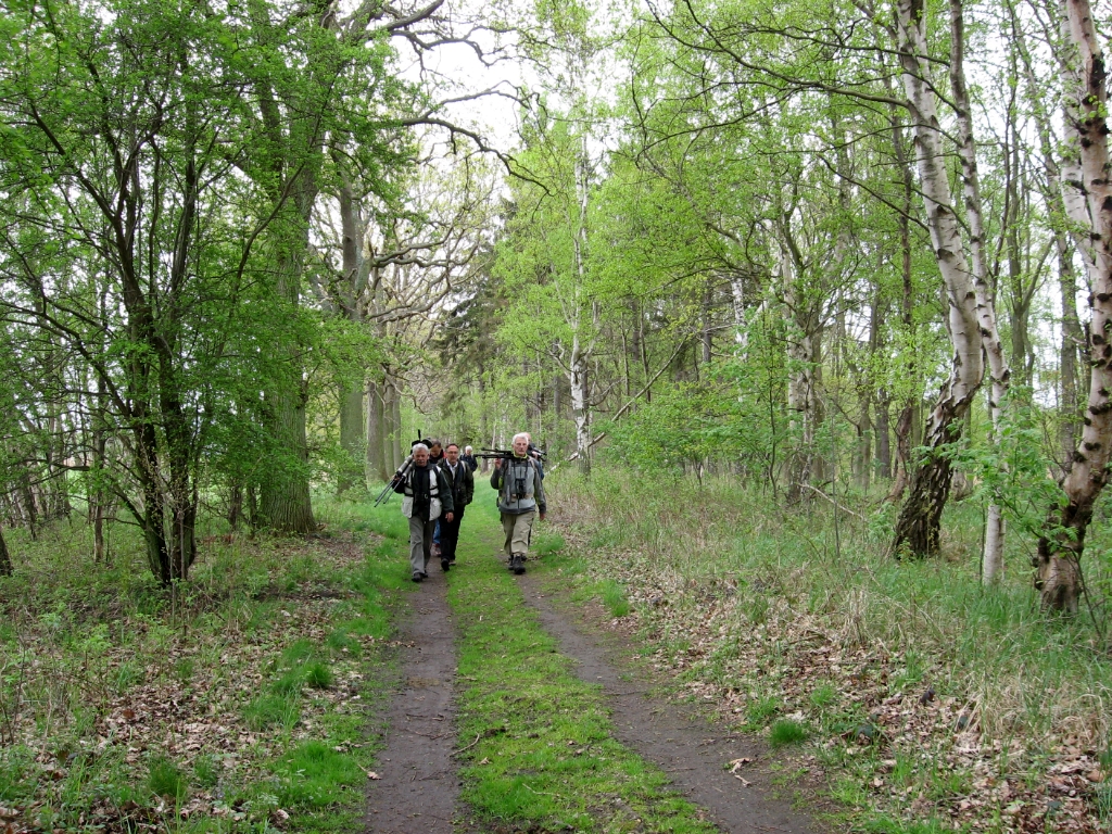 Duitsland Elly (2)